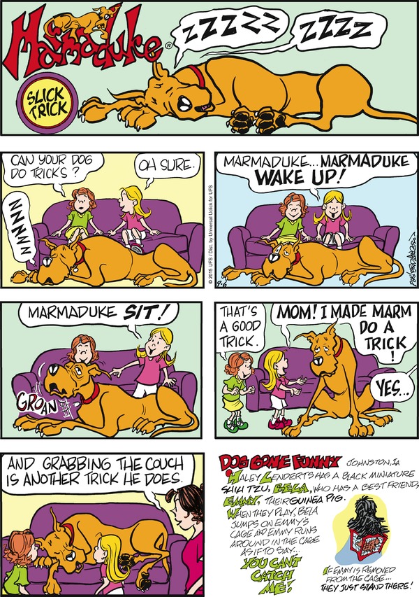 marmaduke